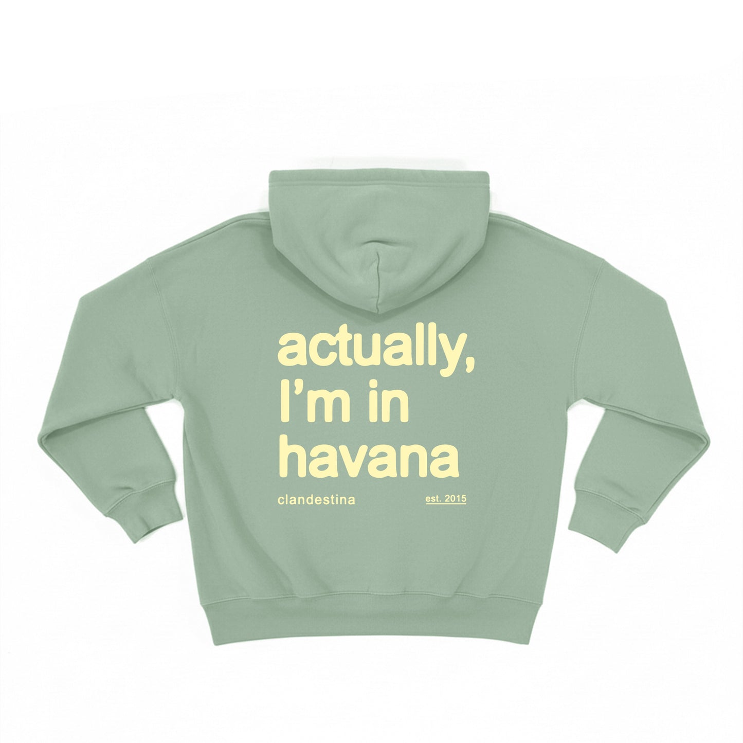 Actually, I'm in Havana - Hoodie