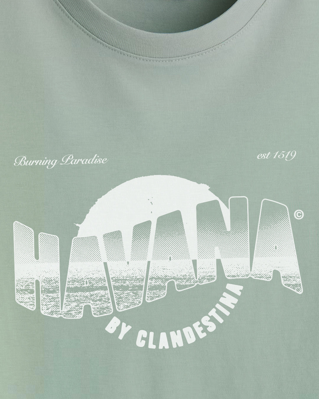 Burning Paradise T-Shirt Havana — Unisex