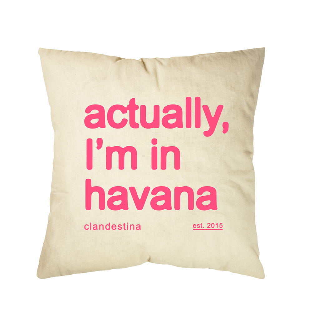 Actually, I'm in Havana Canvas Cushion Cover