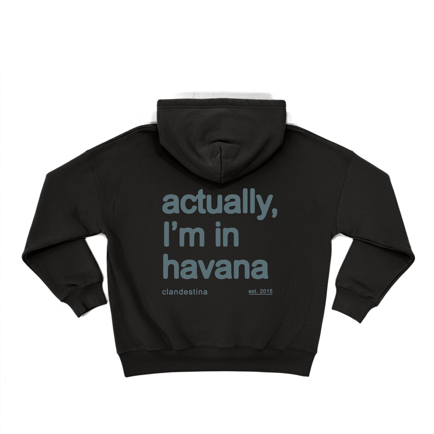 Actually im in Havana - Hoodie