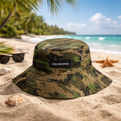 Safari Pachanga